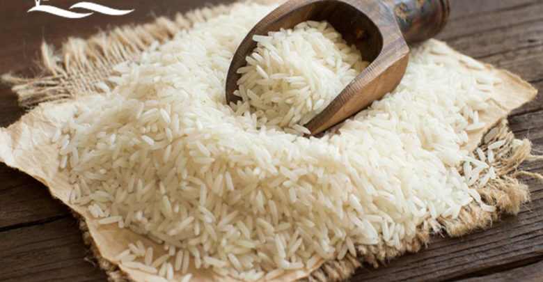 خرید و قیمت برنج شمال شیرودی + فروش عمده